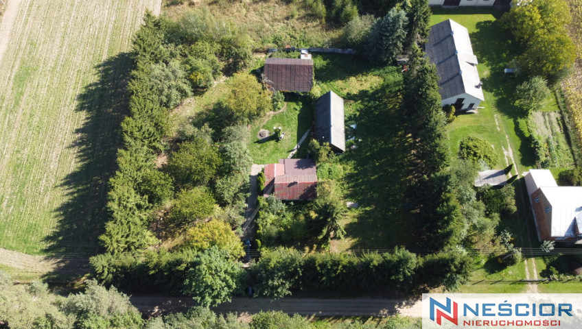 House Sale Dąbrowa