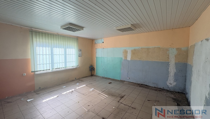 Помещение Продажа Wielgorz