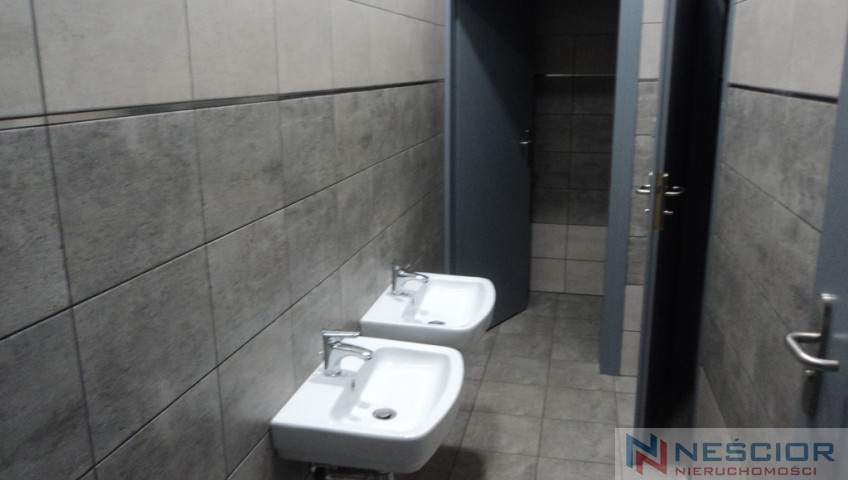 Lokal Wynajem Siedlce