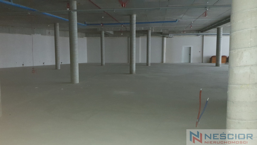 Commercial space Rent Siedlce 3 Maja