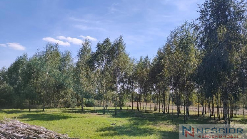 Участок Продажа Teodorów
