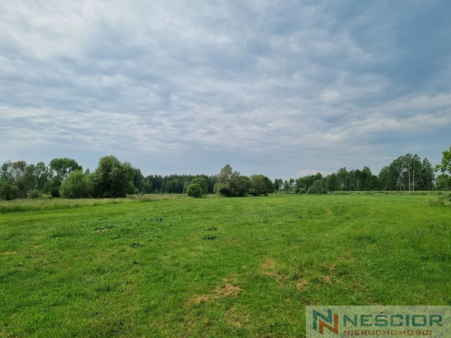 Dzialka rolna 2 ha (20 000 m2)