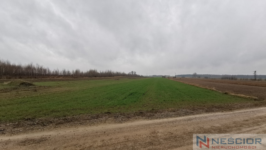 Działka Sprzedaż Gręzówka-Kolonia