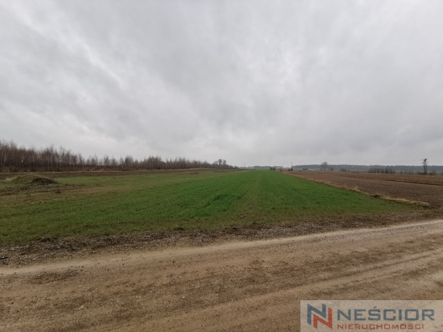 Działka Sprzedaż - Gręzówka-Kolonia