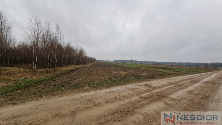 Działka Sprzedaż Gręzówka-Kolonia