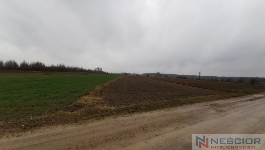 Działka Sprzedaż Gręzówka-Kolonia