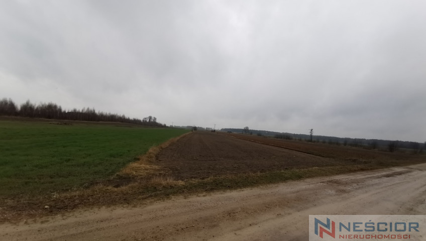 Działka Sprzedaż Gręzówka-Kolonia
