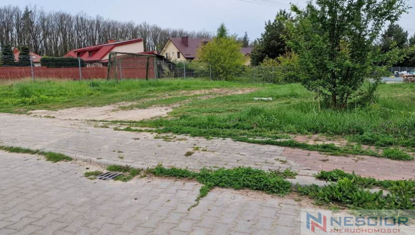 Działka Sprzedaż Siedlce Borówkowa