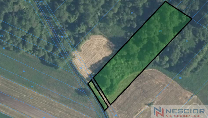 Plot Sale Jeleniec