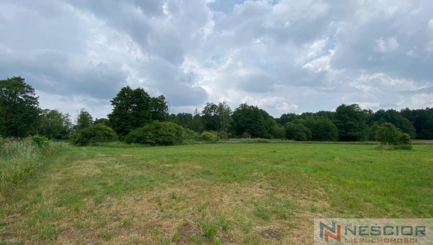 Plot Sale Jeleniec