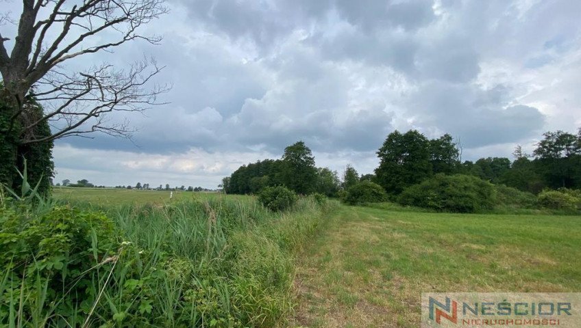 Plot Sale Jeleniec