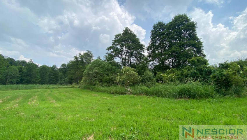 Plot Sale Jeleniec