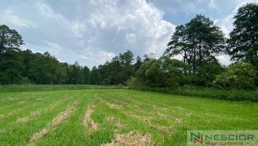 Plot Sale Jeleniec