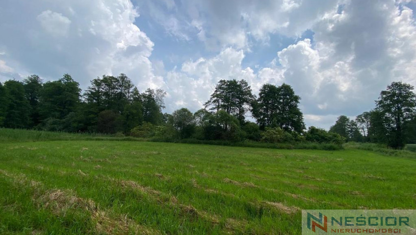 Plot Sale Jeleniec