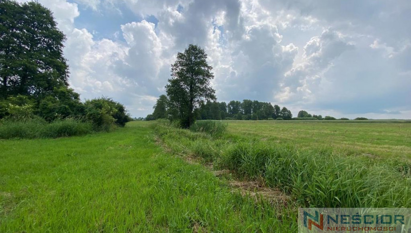 Plot Sale Jeleniec