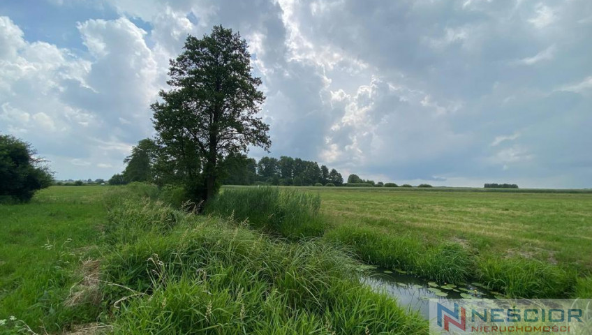 Plot Sale Jeleniec