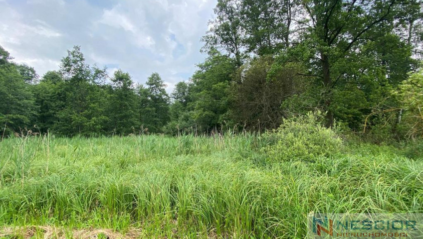 Plot Sale Jeleniec