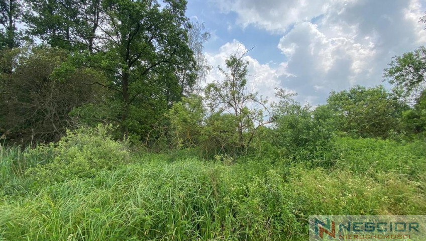 Plot Sale Jeleniec